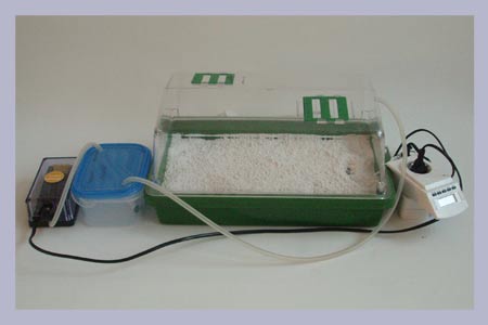 1. Home Grow Kit
