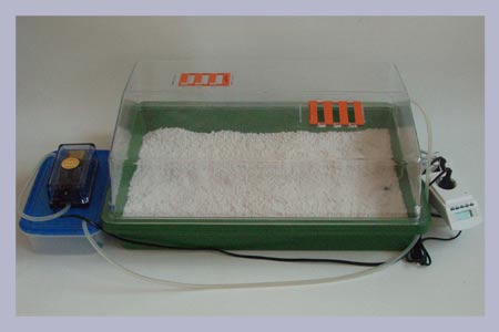 2. Professional Grow Kit