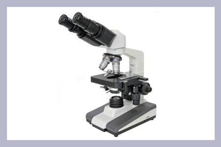 Microscopes & Equipment