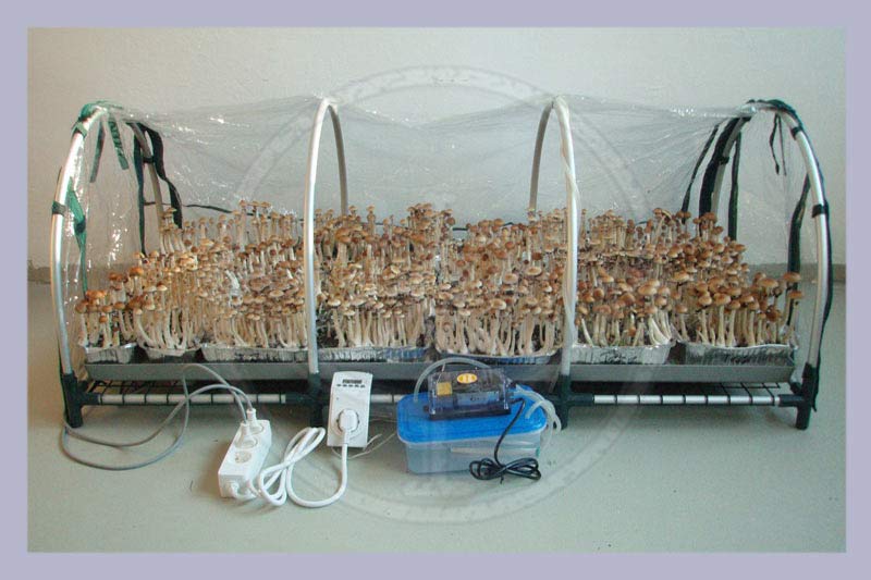 3. XXL Propagator