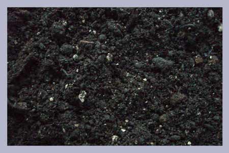 Mushroom Casing Soil, 1 liter