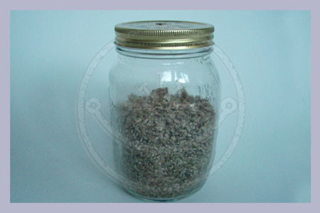 Ready Sterilized