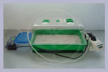 Mushroom Home Grow Kit
