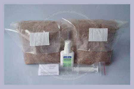 2x Straw Substrate bag + Sporesyinge + Bacillol