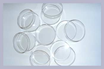 Petridishes 55mm X 15pieces
