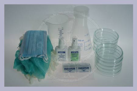 Set Agar Medium Preperation "II"