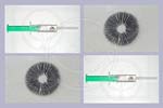 Spores for Microscopy