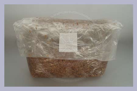 Straw-Millet Substrate bag 1,5 kg | 4,5 l x 12